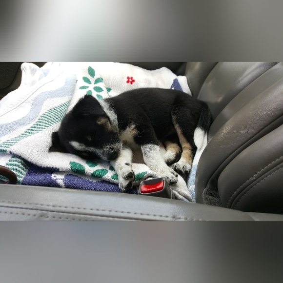 COPY - MISSY'S BLOG - Picture 6 of 8